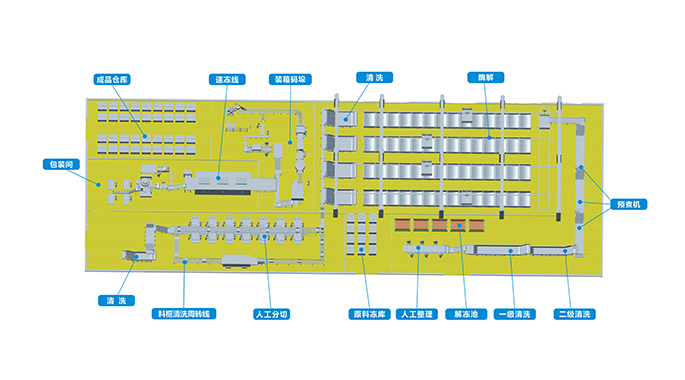 毛肚產(chǎn)線智能化方案(電子版)